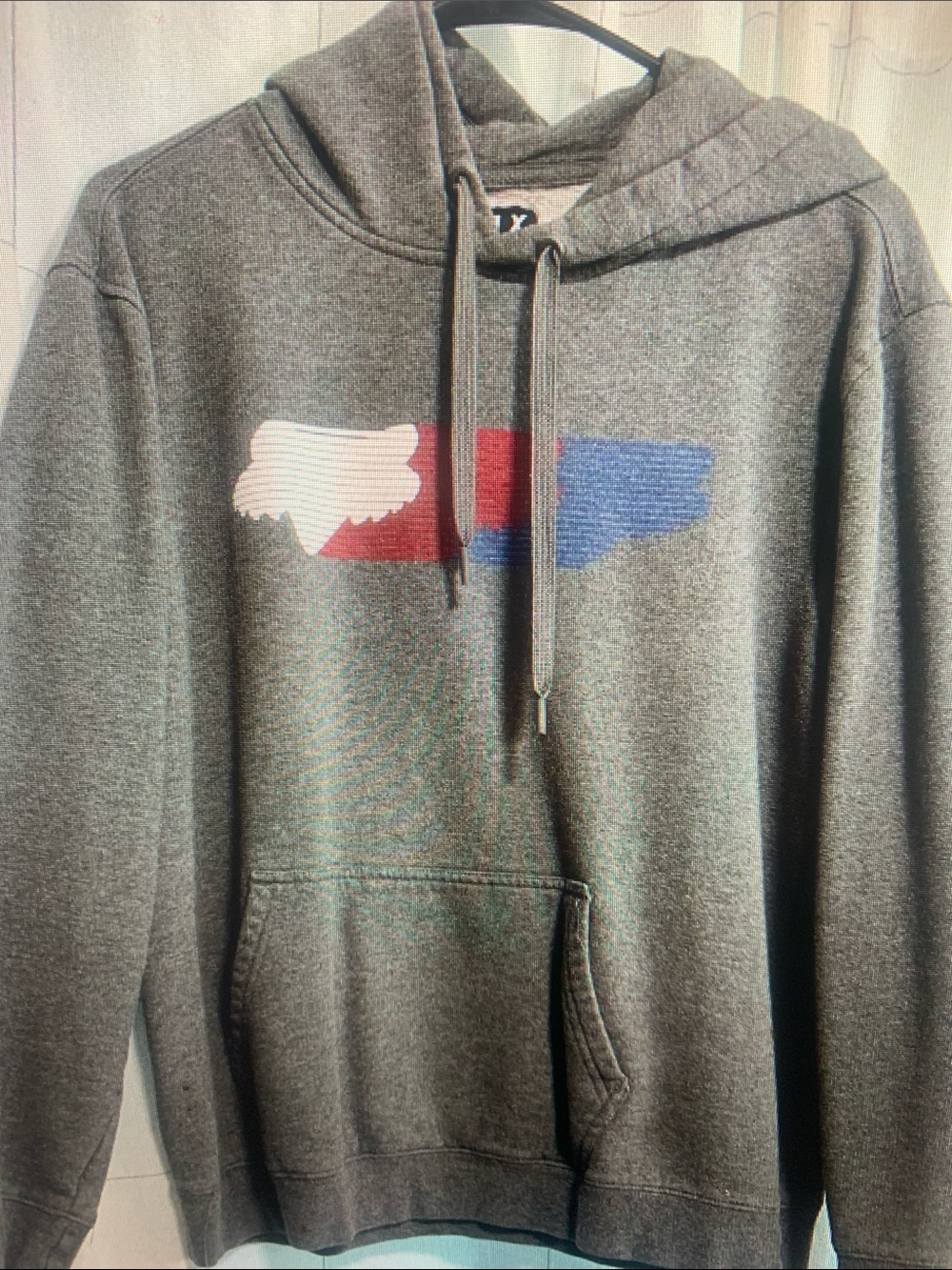 Fox Gray Hoodie with Red, White & Blue Wing Graphic